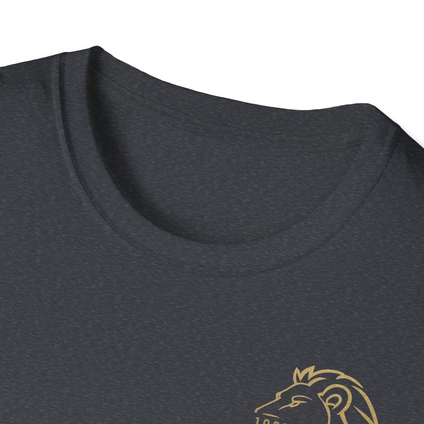 T-shirt unisex - 100x Mentality - Abbigliamento motivazionale per l'ispirazione quotidiana