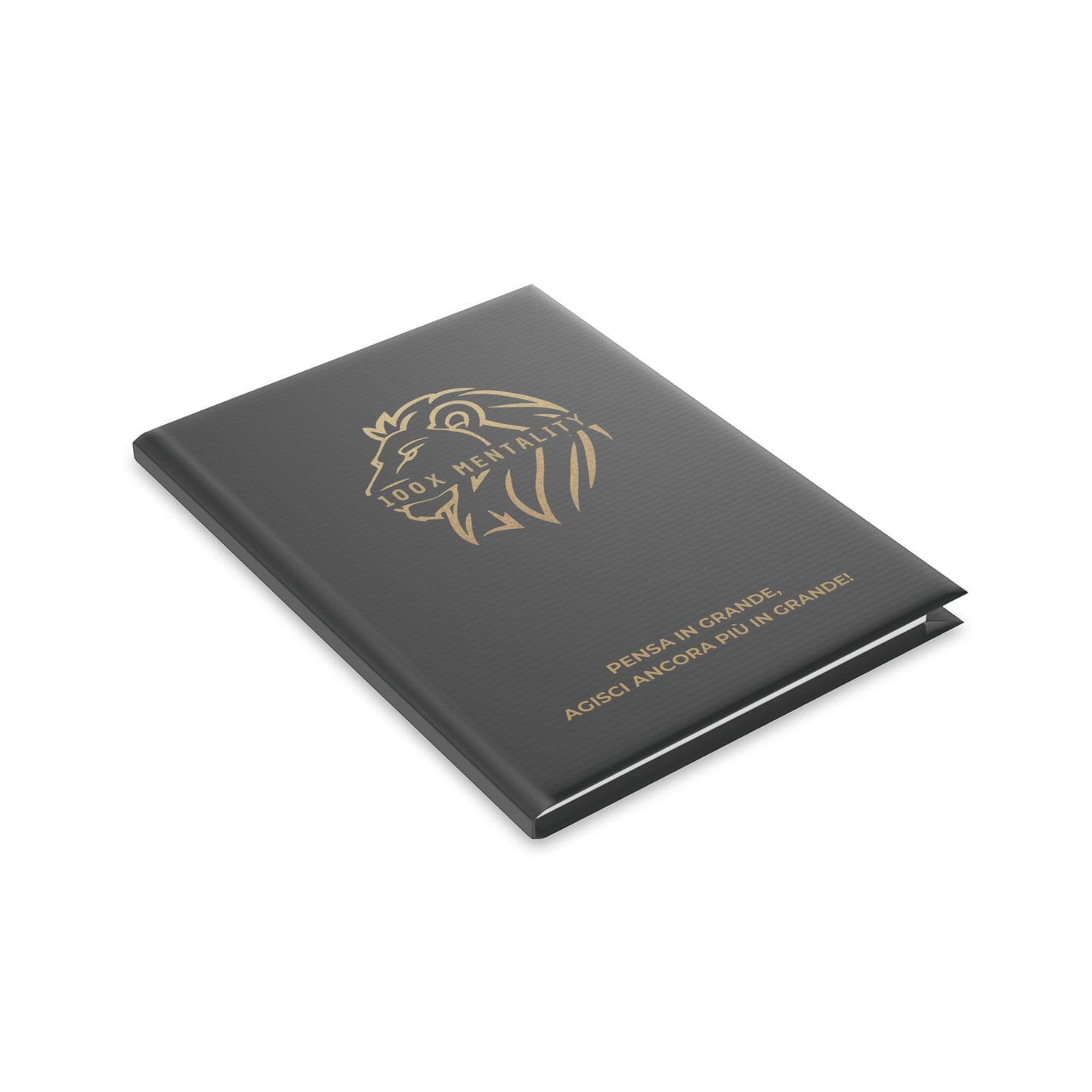 Agenda 100X Mentality - Plan Your Success