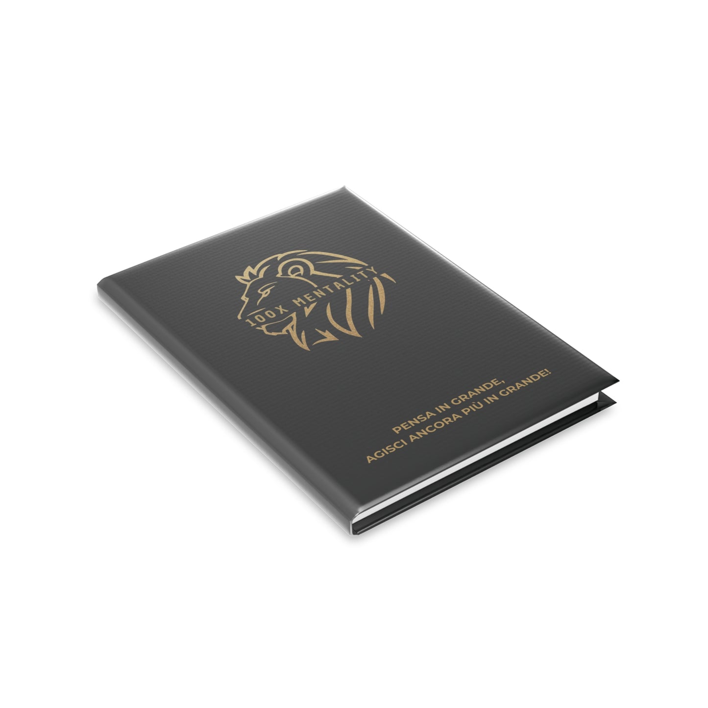 Agenda 100X Mentality - Plan Your Success