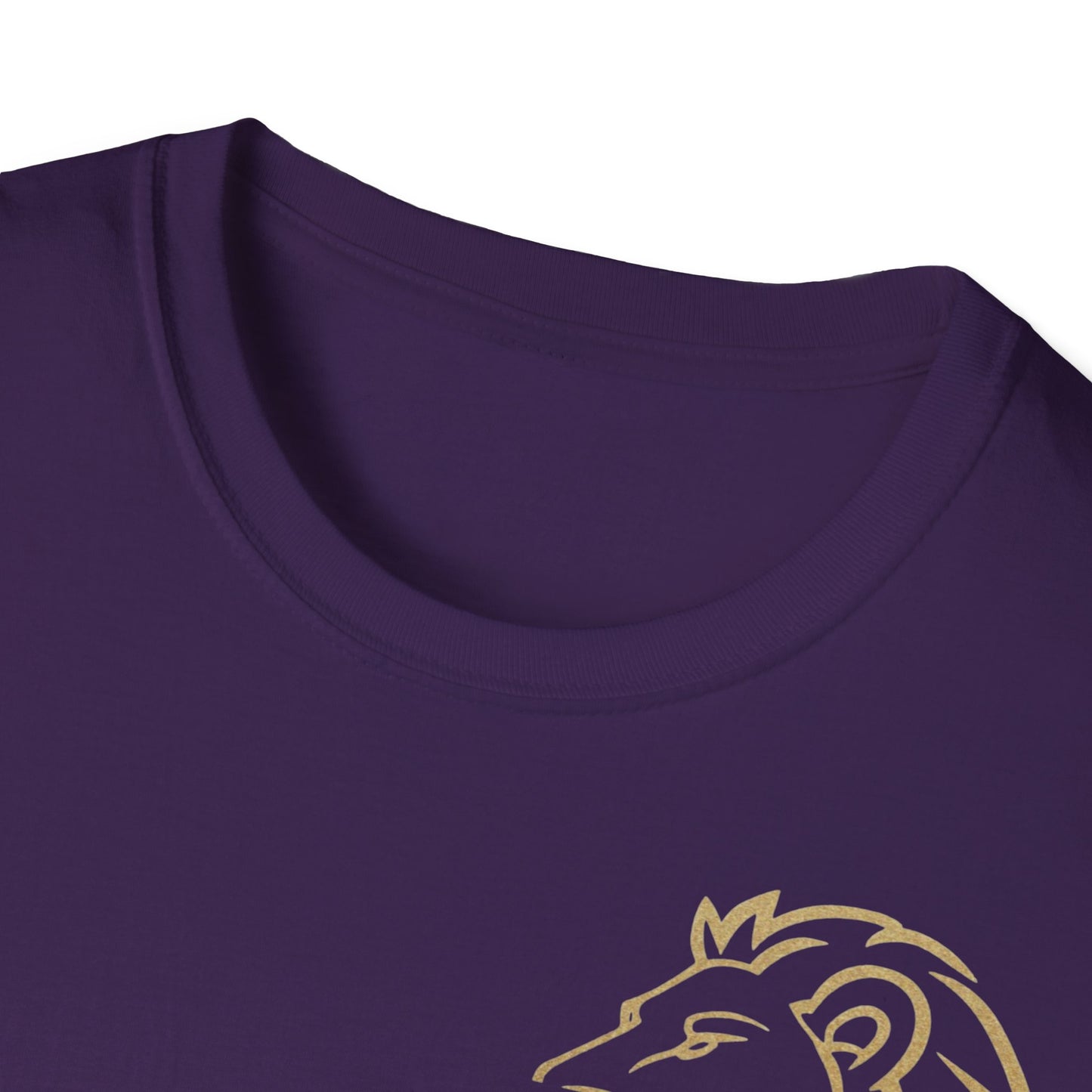 100x Mentality T-Shirt - Symbol of determination and growth