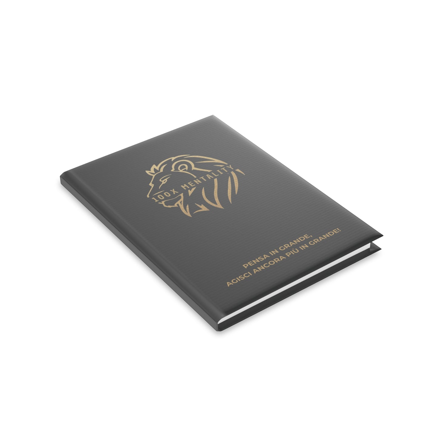 Agenda 100X Mentality - Plan Your Success