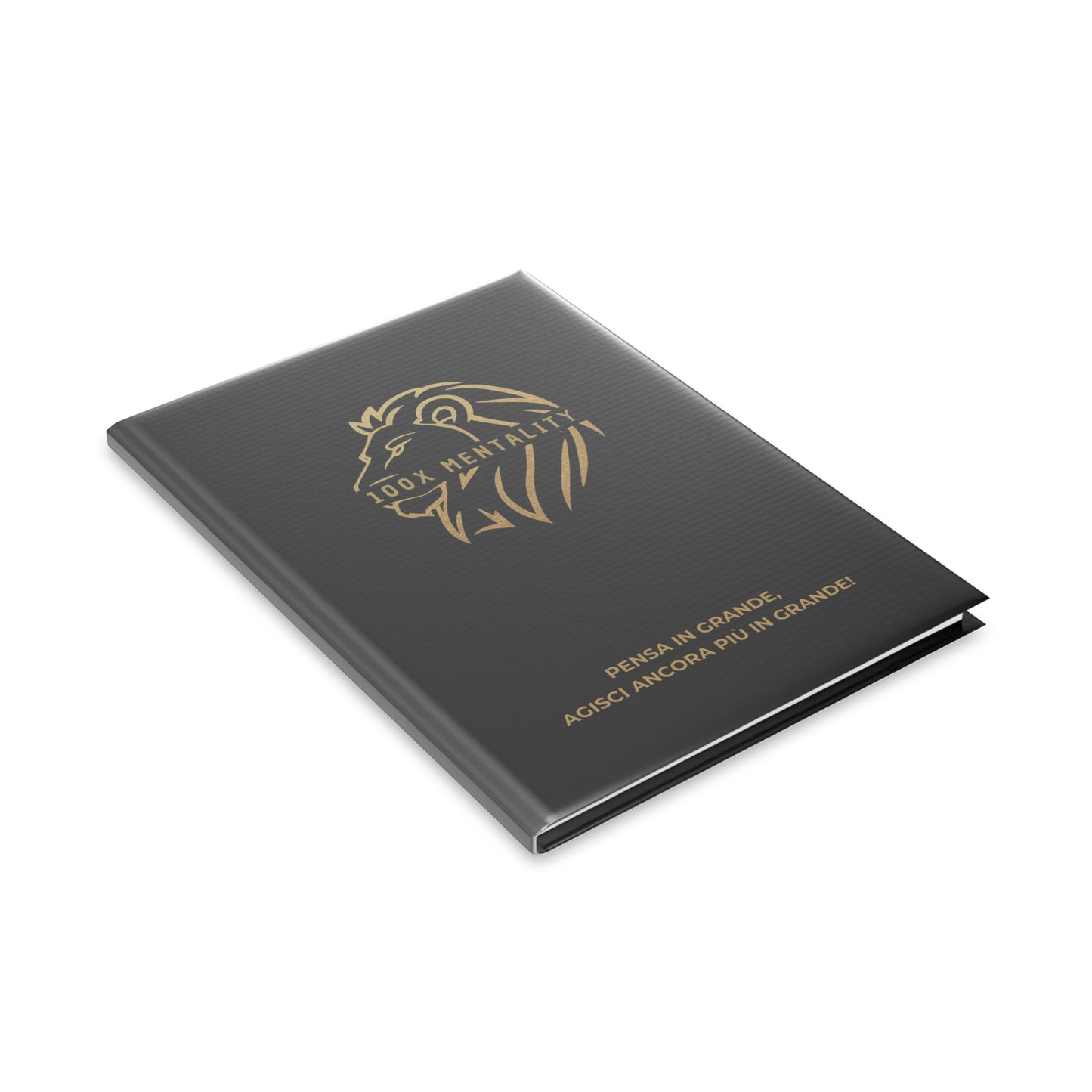 Agenda 100X Mentality - Plan Your Success