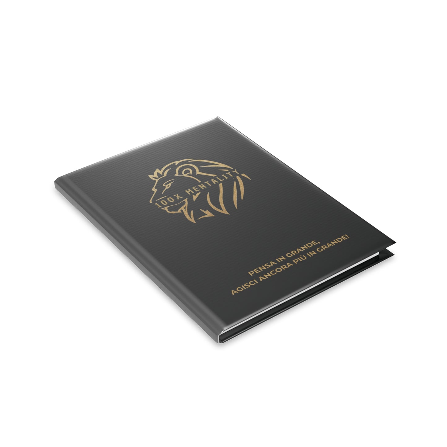 Agenda 100X Mentality - Plan Your Success