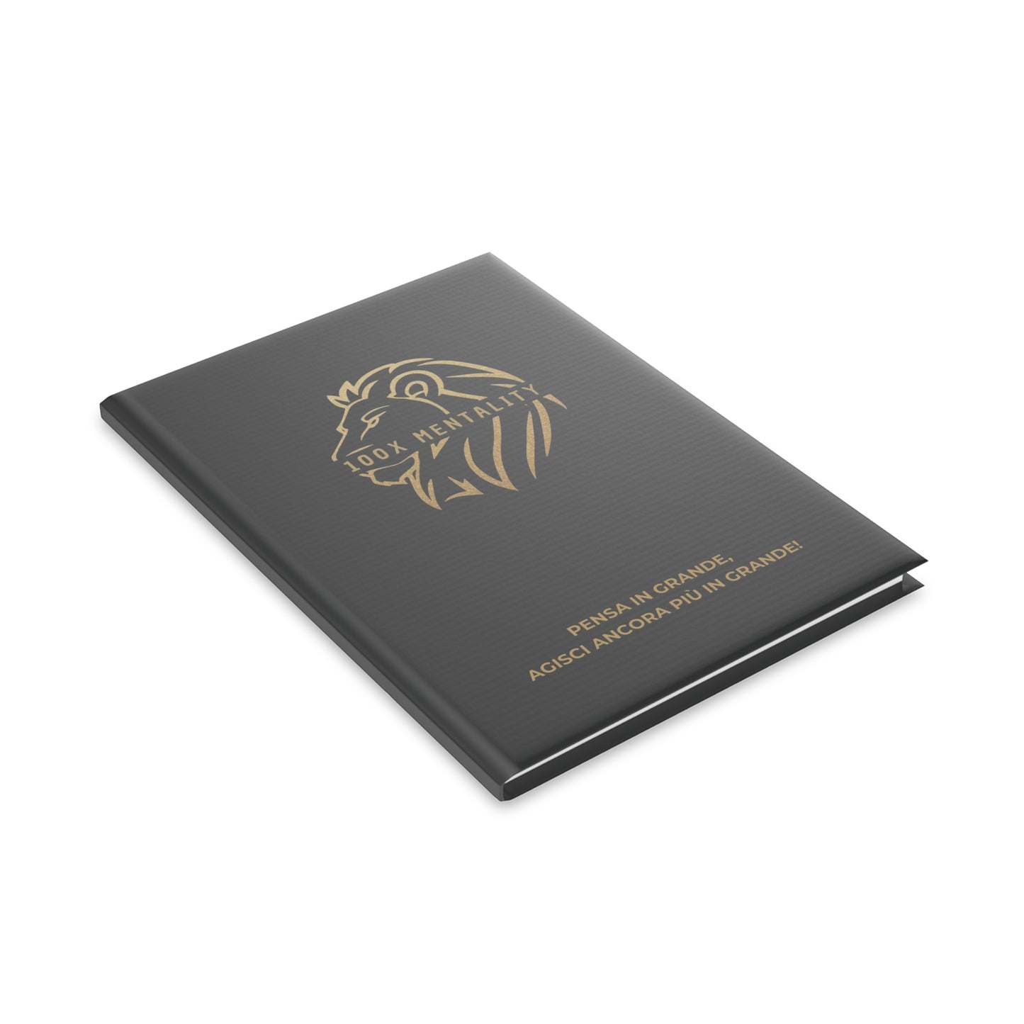Agenda 100X Mentality - Plan Your Success